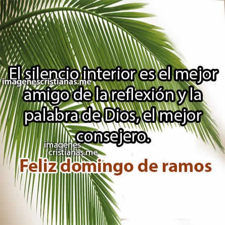  Frases Cristianas De Domingo De Ramos Reflexiones 