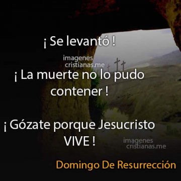  Imagenes Domingo De Resurreccion Frases Para Jesus